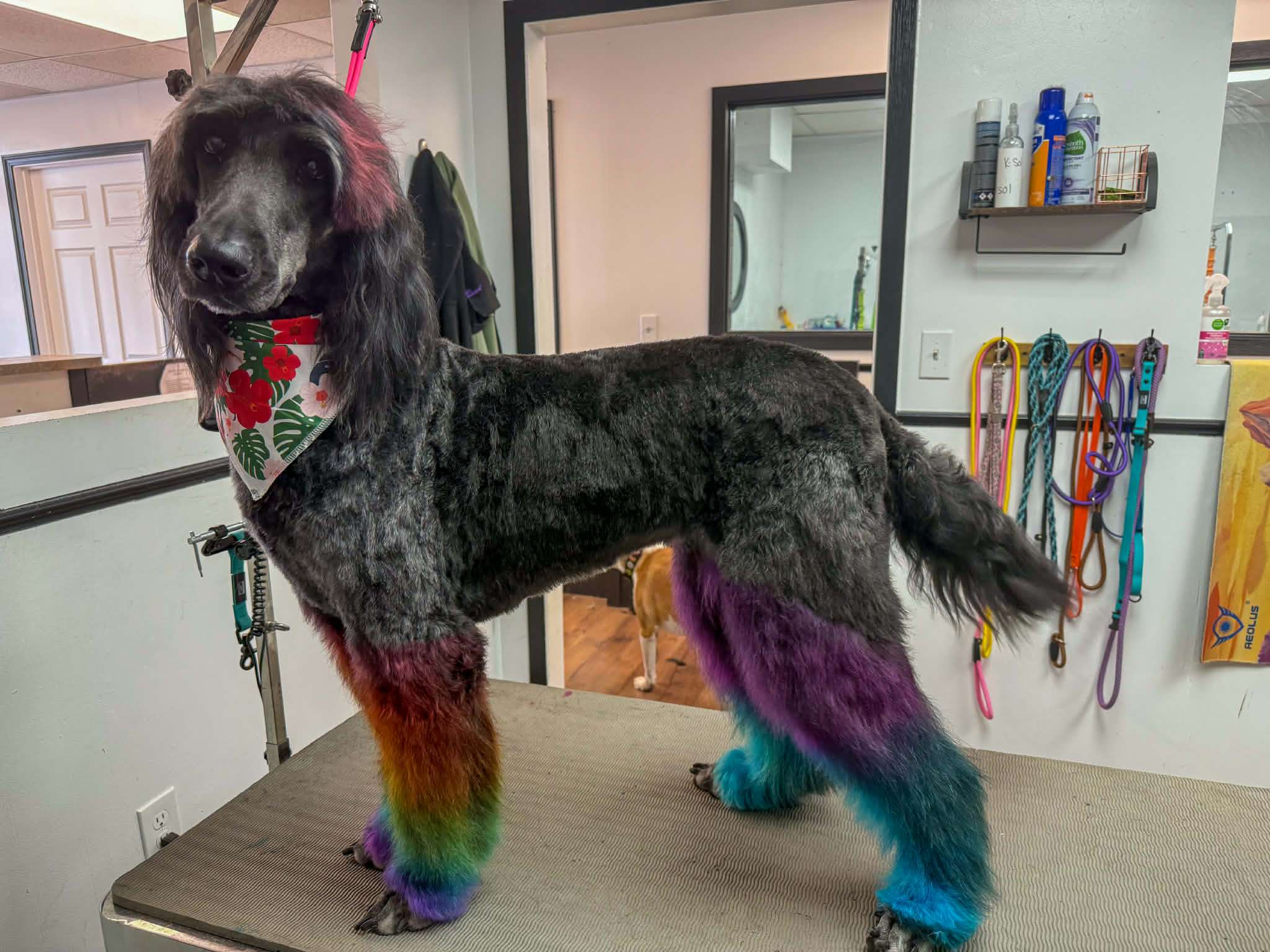 Rainbow leg warmers moment