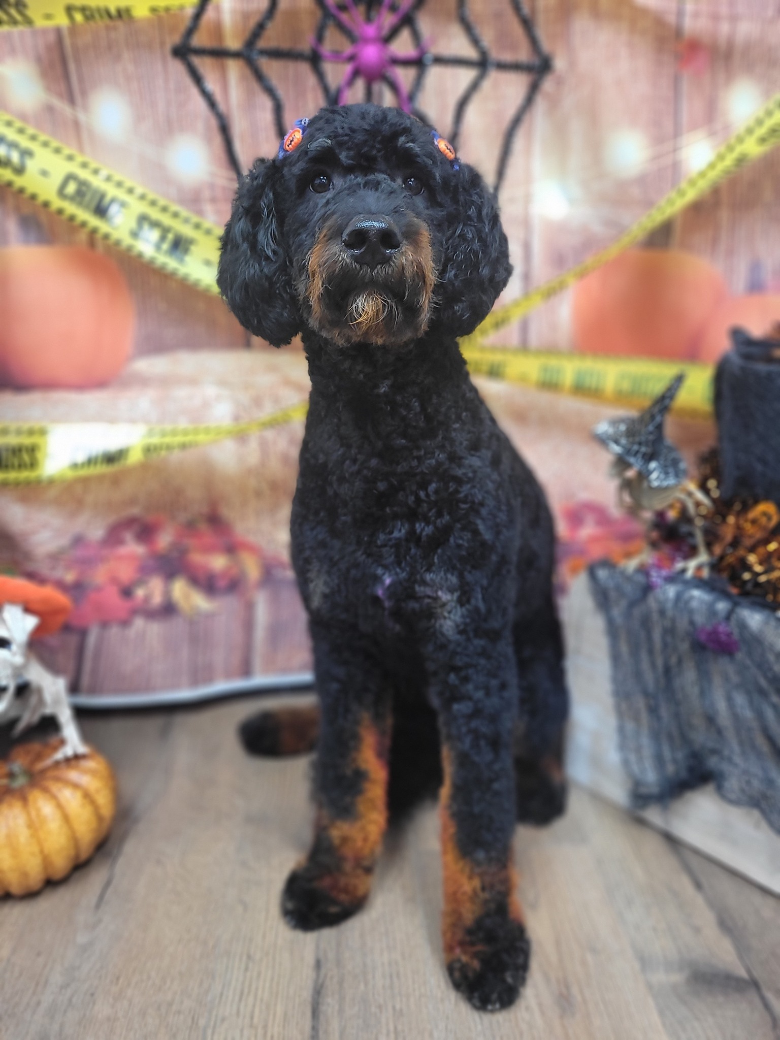 Spooky season doodle glam